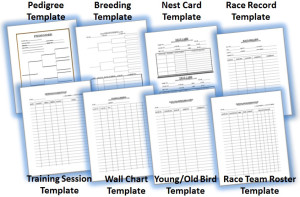 Pigeon race sheets download template